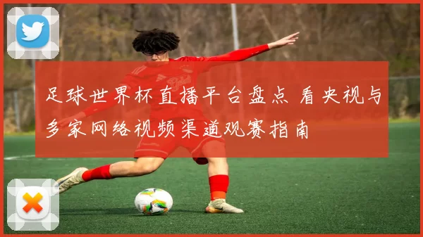 足球世界杯直播平台盘点 看央视与多家网络视频渠道观赛指南