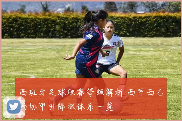 西班牙足球联赛等级解析 西甲西乙西协甲升降级体系一览