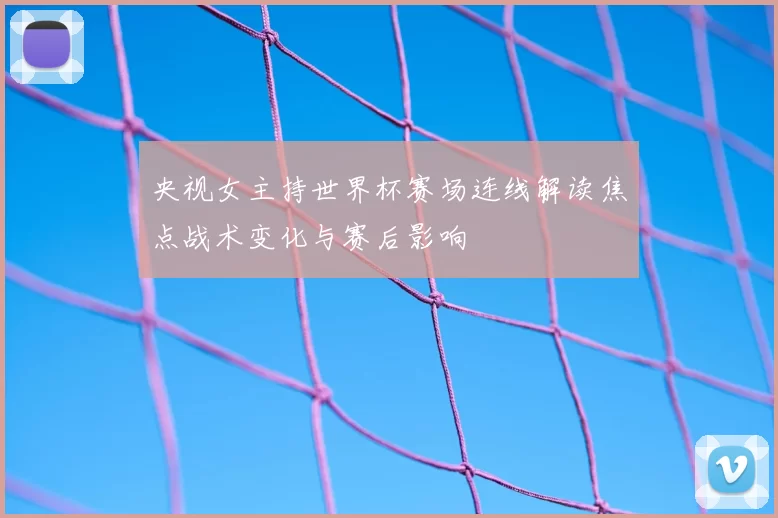 央视女主持世界杯赛场连线解读焦点战术变化与赛后影响