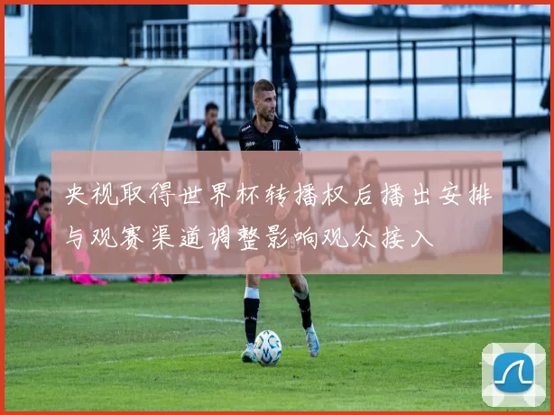 央视取得世界杯转播权后播出安排与观赛渠道调整影响观众接入