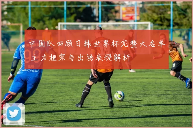 中国队回顾日韩世界杯完整大名单 主力框架与出场表现解析