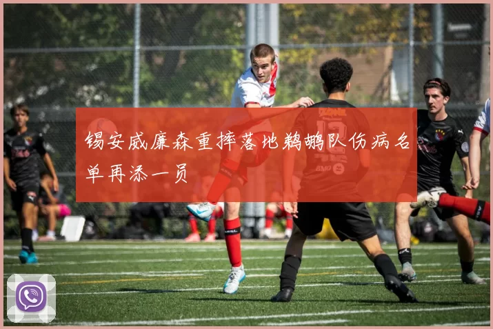 锡安威廉森重摔落地鹈鹕队伤病名单再添一员