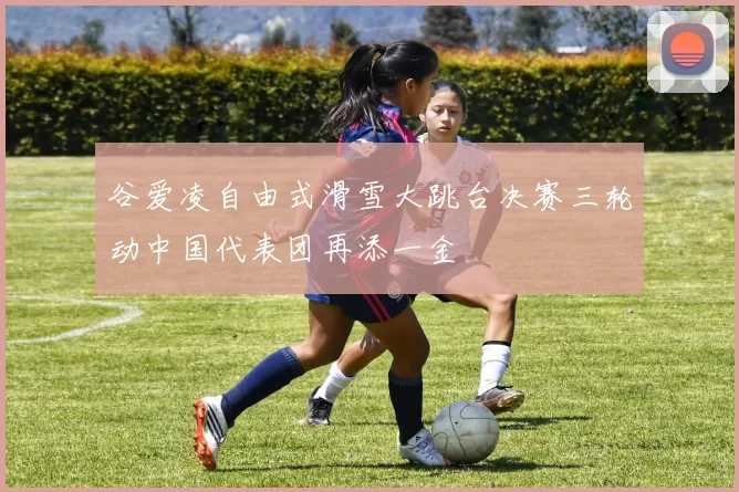 谷爱凌自由式滑雪大跳台决赛三轮动中国代表团再添一金
